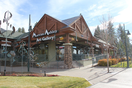 Marcus Ashley Gallery Wind Sculptures