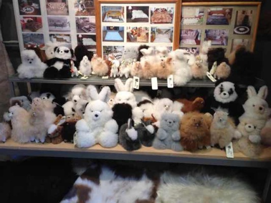 Alpaca Exotic Imports gifts