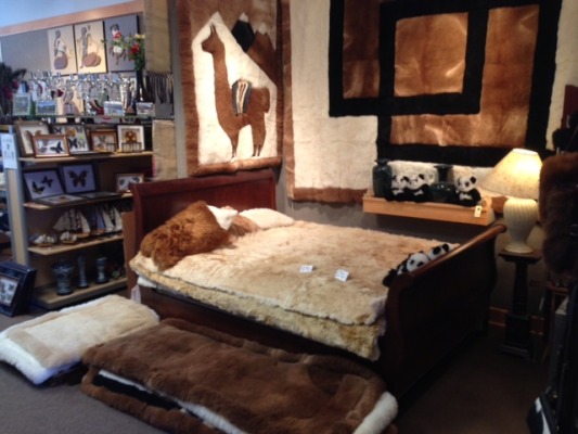 Alpaca Exotic Imports rugs
