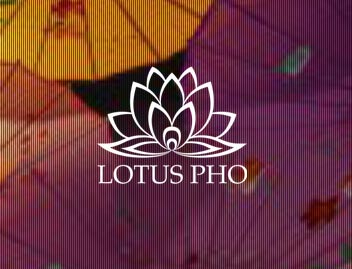Lotus Pho