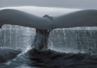 Freedom by Wyland a whale tailfin coming out of the water